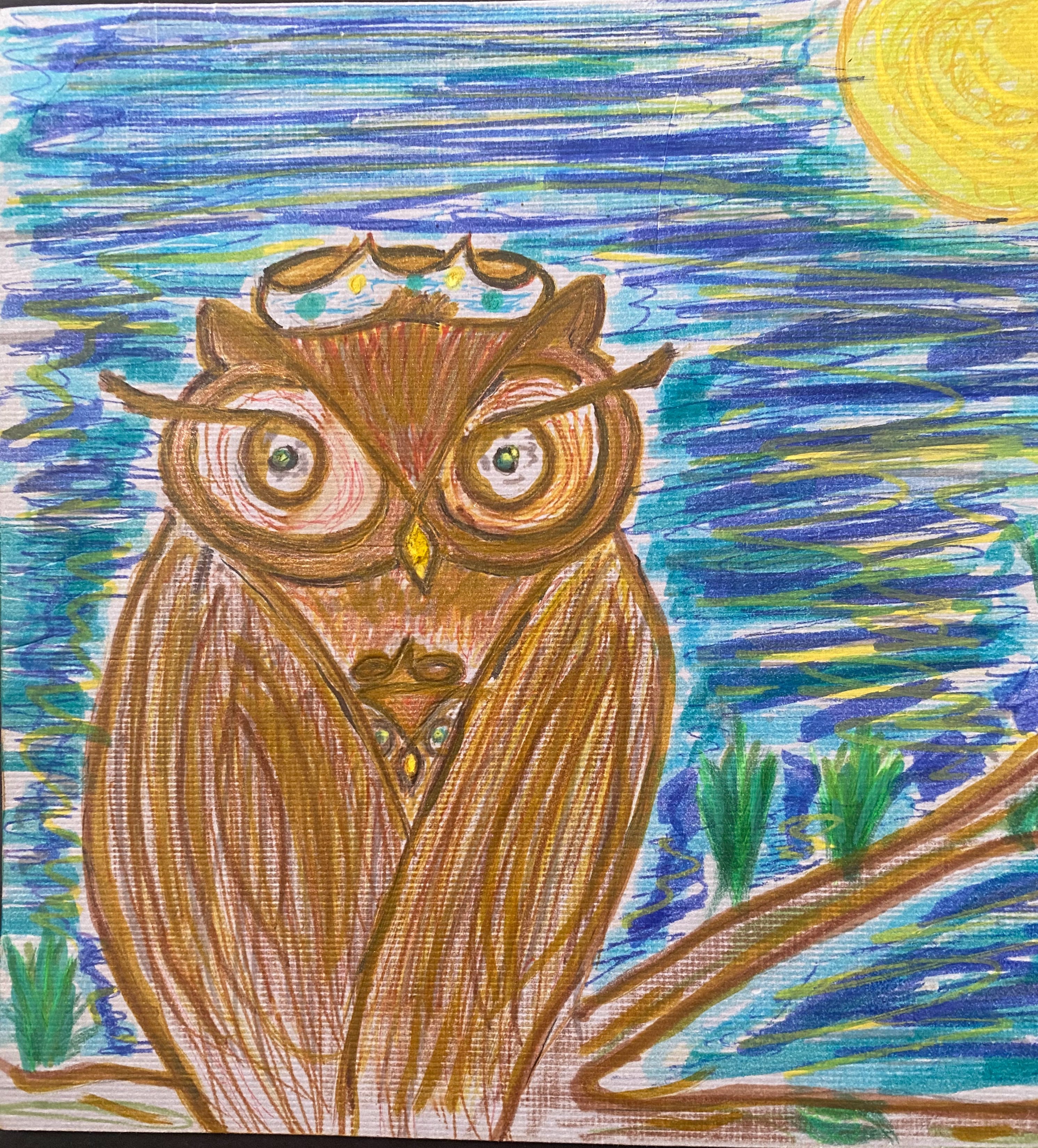 Midnight Owl